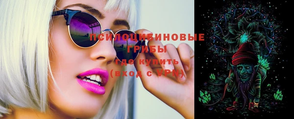 крисы Белокуриха