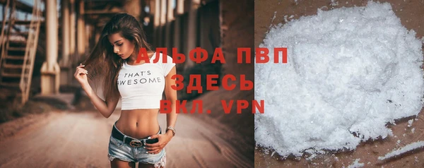 крисы Белокуриха