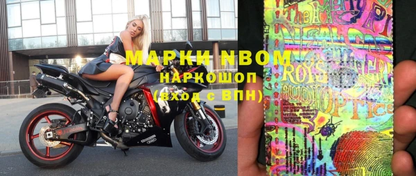 крисы Белокуриха