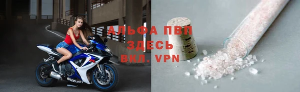 крисы Белокуриха