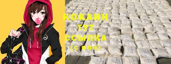 крисы Белокуриха