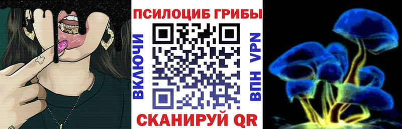 Галлюциногенные грибы ЛСД  как найти наркотики  kraken ССЫЛКА  Кунгур 